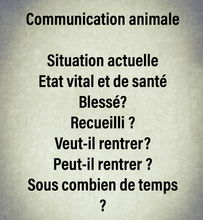 Charger l'image dans la galerie, Recherches, communication et localisation d'animaux, chien, chat, autres animaux perdus , retrouver un animal perdu